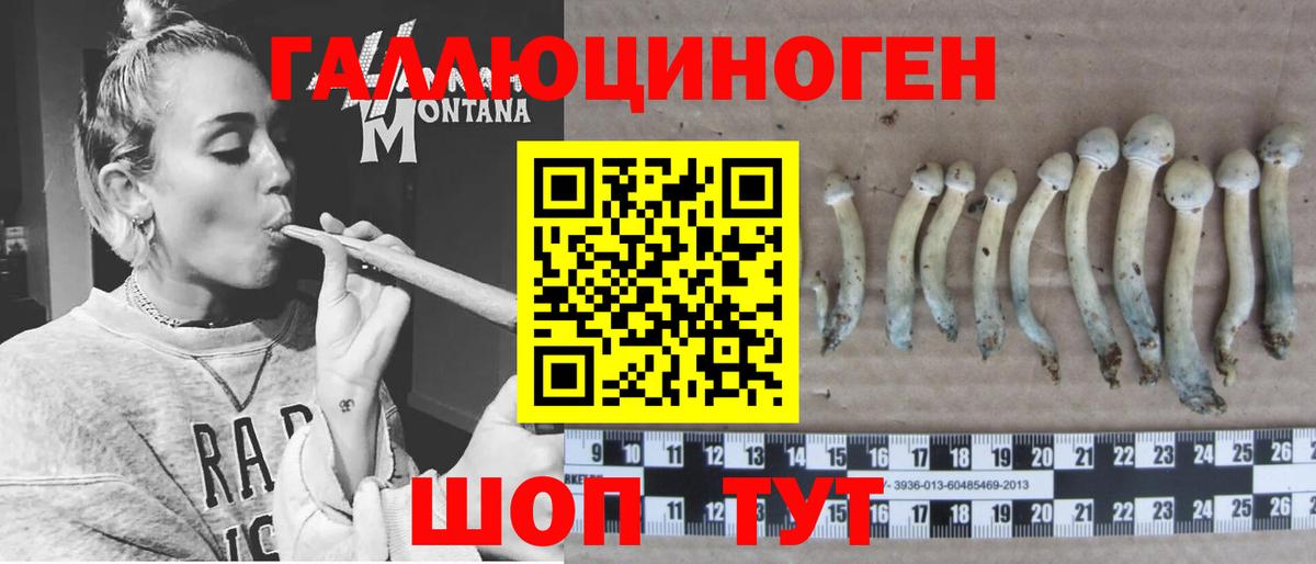 Галлюциногенные грибы Psilocybe Комсомольск-на-Амуре