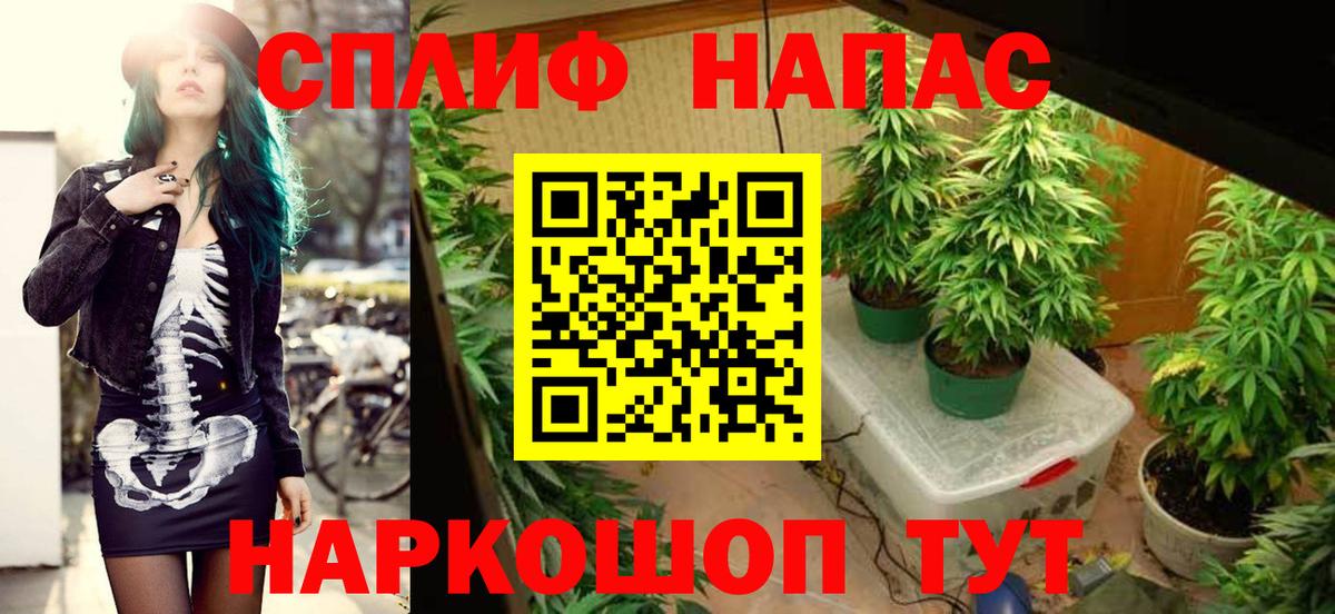 Шишки марихуана марихуана Комсомольск-на-Амуре